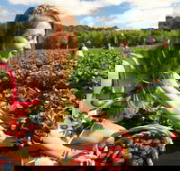 Mornington Peninsula Day Trip from Melbourne - Pubs and Clubs