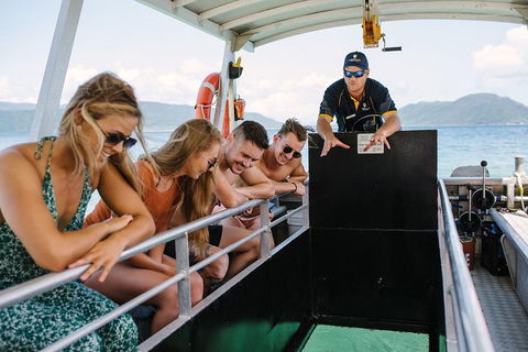 Fitzroy Island Day Trip From Cairns - Pubs and Clubs 4