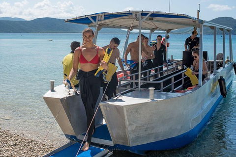 Fitzroy Island Day Trip From Cairns - Pubs and Clubs 5