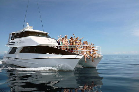 Seastar Luxury Outer Great Barrier Reef Island And Reef Tour From Cairns - Pubs and Clubs 4