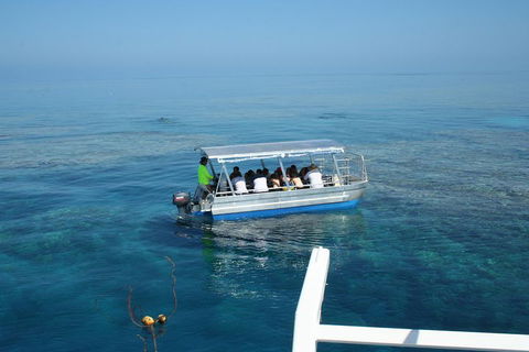 Seastar Luxury Outer Great Barrier Reef Island And Reef Tour From Cairns - Pubs and Clubs 5