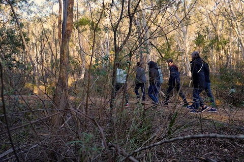 Wild Australian Wildlife 4WD Tour From Sydney - Pubs and Clubs 0