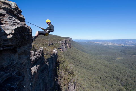 Half-Day Abseiling Adventure In Blue Mountains National Park - Pubs and Clubs 1