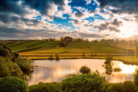 Josef Chromy Wines Winery Tour Including Tasting And Lunch - Pubs and Clubs 3