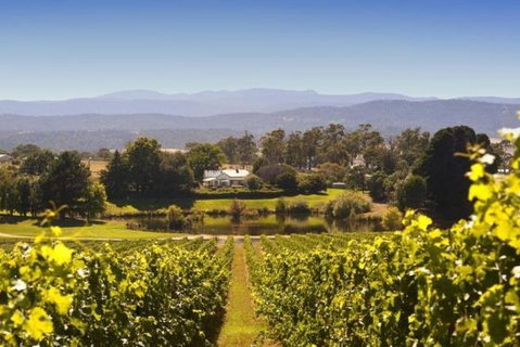 Josef Chromy Wines Winery Tour Including Tasting And Lunch - Pubs and Clubs 4