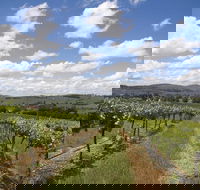 Hunter Valley Wine Tour from Sydney incl Lunch Cheese Chocolate and Distillery - Pubs and Clubs