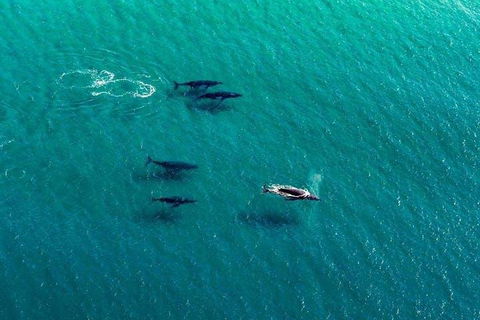 25-30 Minute Newcastle & Macquarie Helicopter Shared Flight - Pubs and Clubs 4