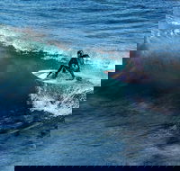 Great Ocean Road Highlights Tour - 2 Days 1 Night - Pubs and Clubs