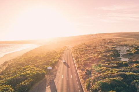 Great Ocean Road & Grampians National Park Tour - 3 Days, 2 Nights - Go Out 1