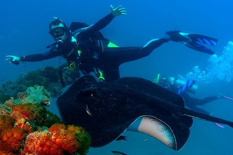 Scuba Dive The S.S. Yongala Wreck On The Great Barrier Reef. - Pubs and Clubs 0