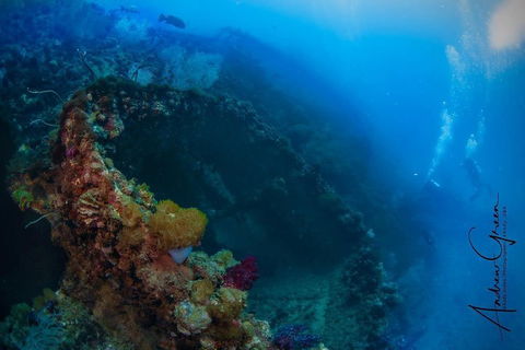 Scuba Dive The S.S. Yongala Wreck On The Great Barrier Reef. - Pubs and Clubs 3