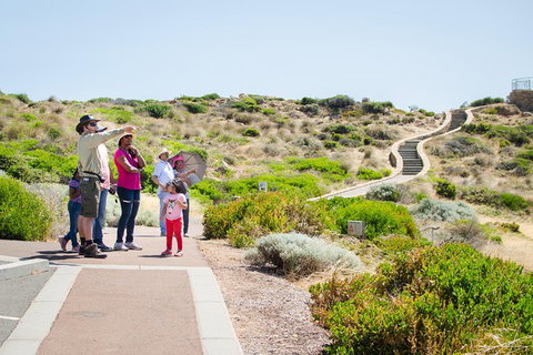 Margaret River Coastal And Wildlife Eco Trip From Busselton Or Dunsborough - Go Out 0
