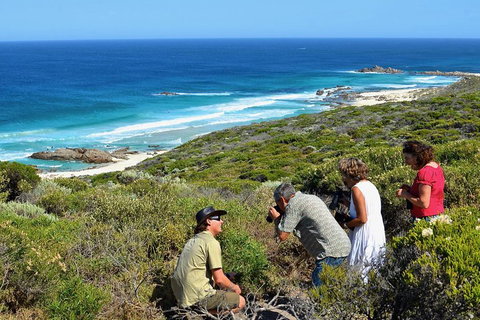 Margaret River Coastal And Wildlife Eco Trip From Busselton Or Dunsborough - Go Out 2