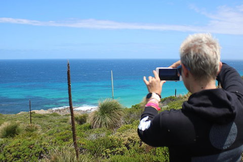 Margaret River Coastal And Wildlife Eco Trip From Busselton Or Dunsborough - Go Out 3