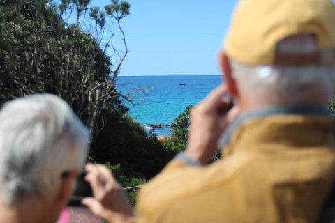 Margaret River Coastal And Wildlife Eco Trip From Busselton Or Dunsborough - Go Out 5